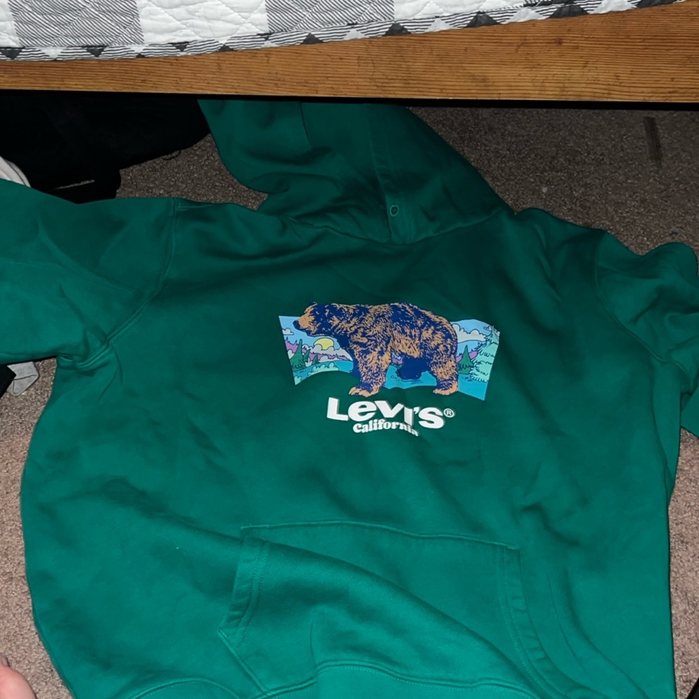 levi’s green hoodie